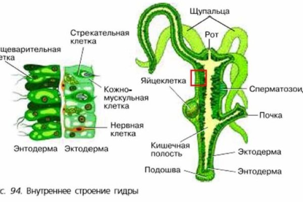 Восстановить аккаунт на кракене