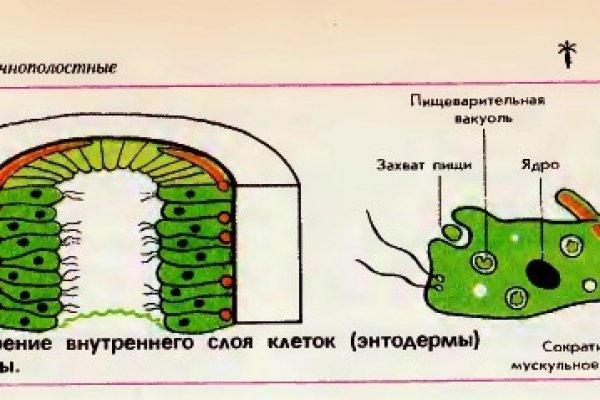 Кракен драг